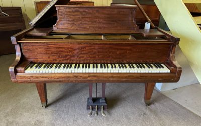Weber Babygrand