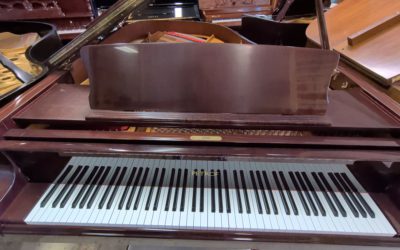 Petrof ~ Modern Day Piano