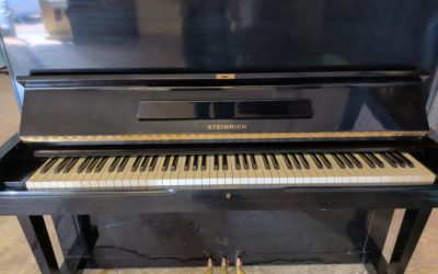 Steinrich ~ Older than 30