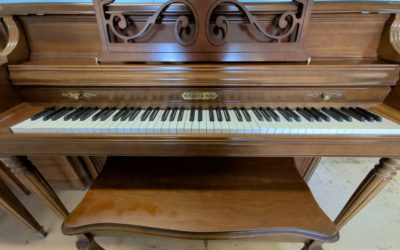 Schafer & Sons ~ Older than 30