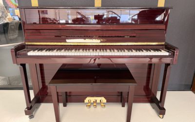 Cristofori ~ Modern Day Piano